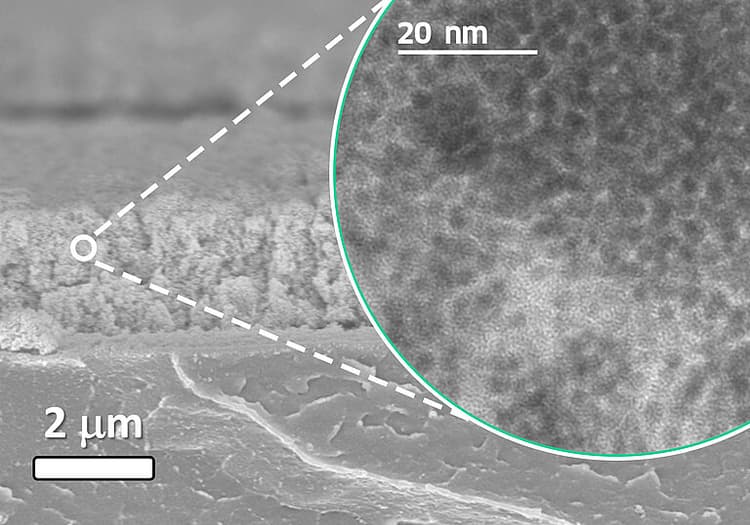 VSParticle gallery image 3