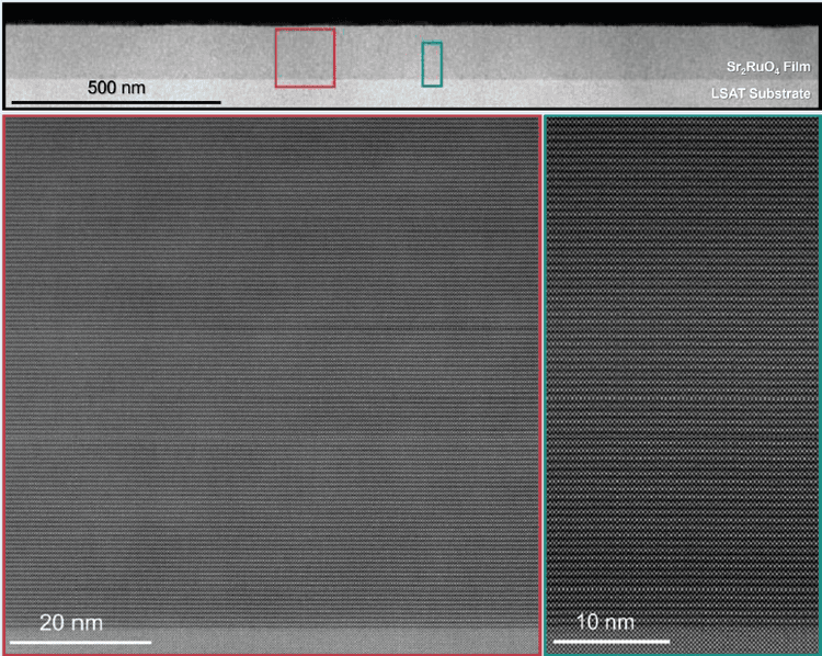 epiray gallery image 4